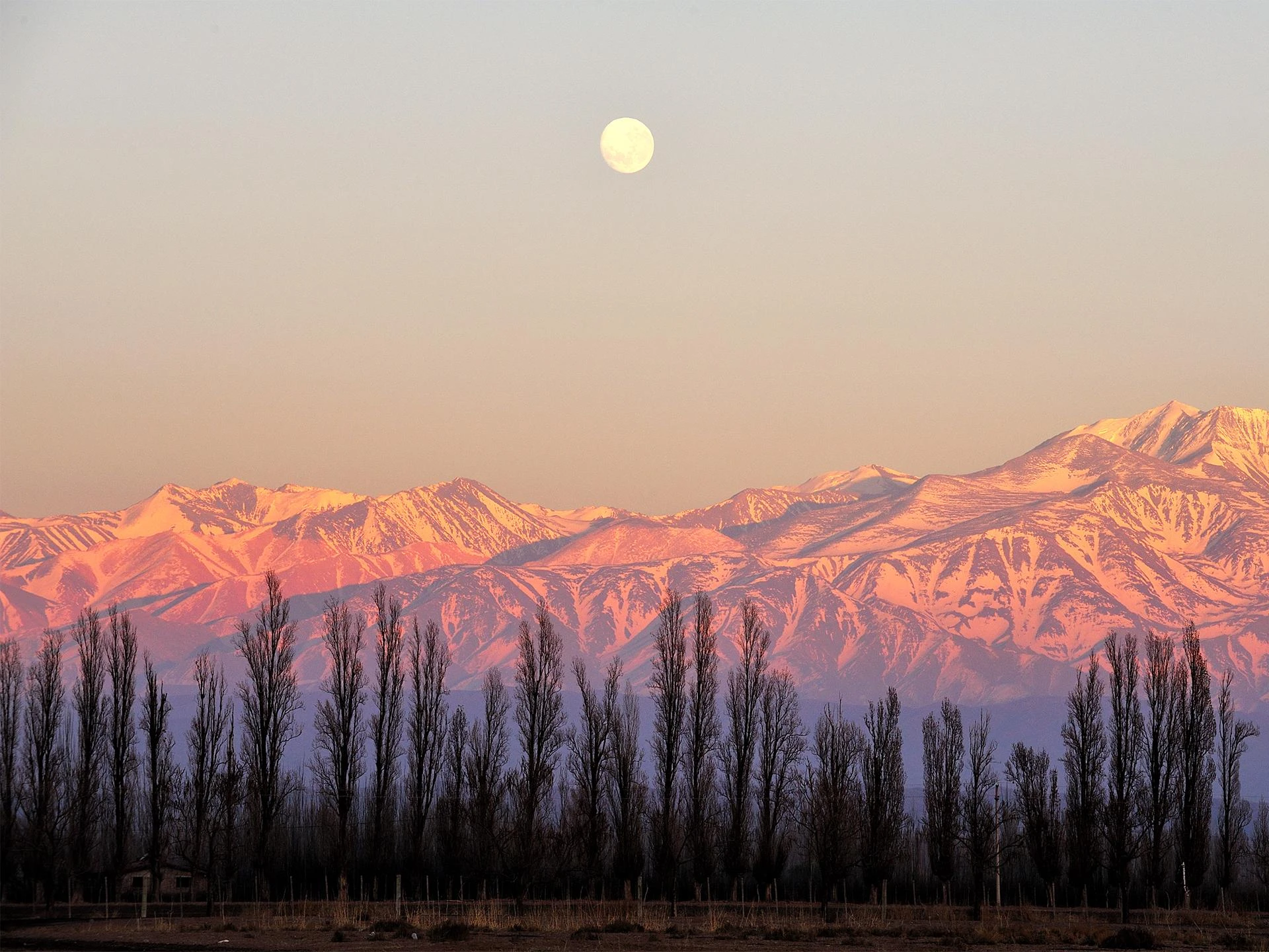 Mendoza